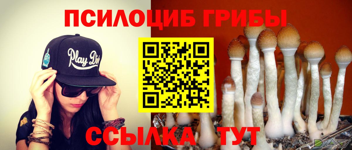 Галлюциногенные грибы мицелий  Вход с VPN  Гулькевичи 